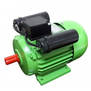 RYU DINAMO PENGGERAK KECEPATAN TINGGI 2850 RPM 2 HP